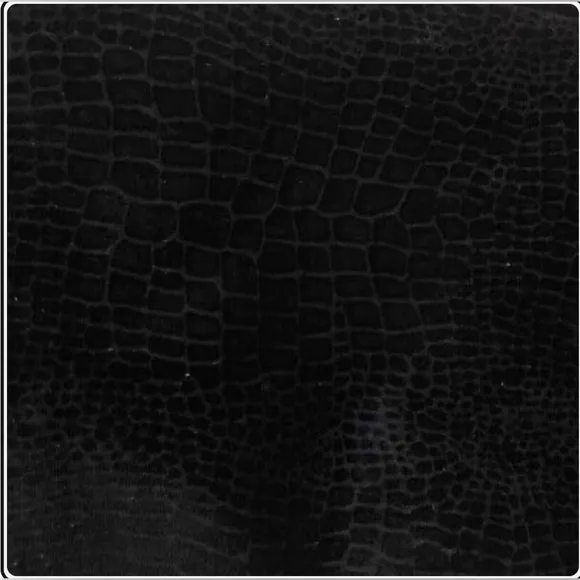 ALDO Women's Tenesha Black Velvet Thigh High Snakeskin Embossed Boots