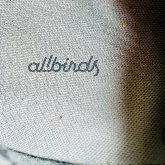 AllBirds Blue Sneakers Size 12.5