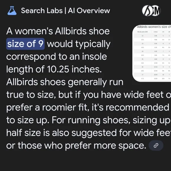 Allbirds Green Casual Sneakers