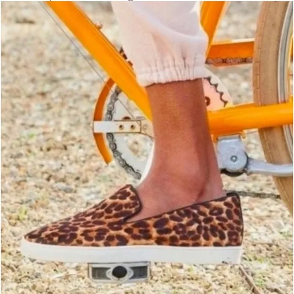 Birdies The Swift Leopard Print Calf Hair Slip On Sneakers