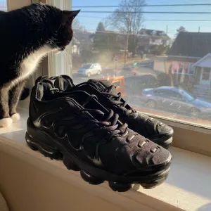 Black Nike Vapor max Air plus