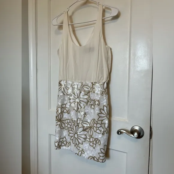 Cream Silk and Sequins Dress