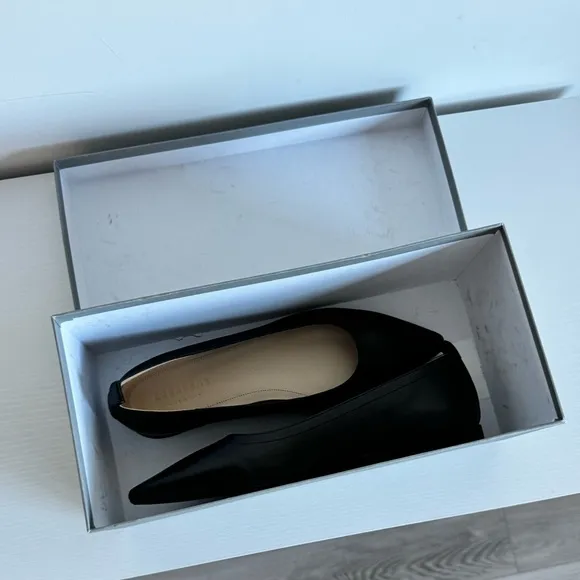 Everlane NWB 7.5 Black Leather 40 Hour Flats Pointed Toe