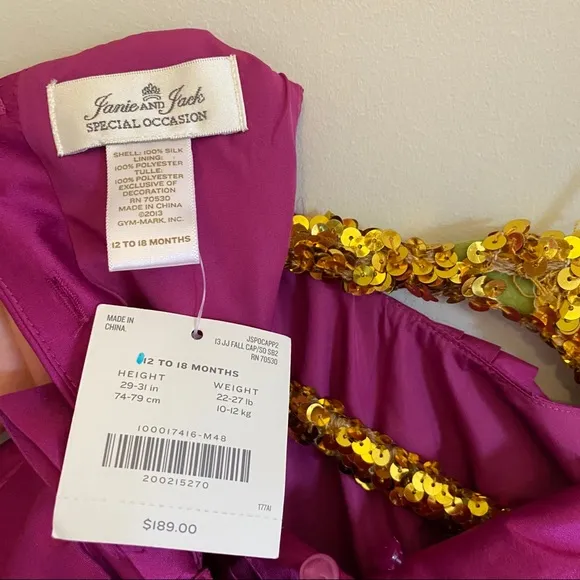 Janie and Jack Special Occasion Silk Dress Bundle