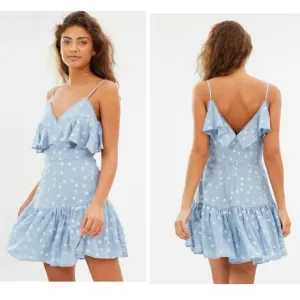 La Maison Talulah Ardency Blue Floral-Embroidered Dress Sz S