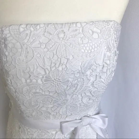 Lilly Pulitzer Sienna Dress in Resort Lace sz4 NEW