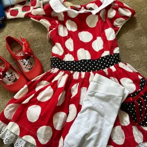 Minnie Mouse dress Fox and Heron