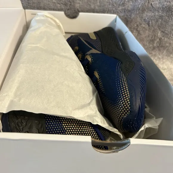 Nike Air Zoom BB NXT Blue Metallic Gold Size 13 DS