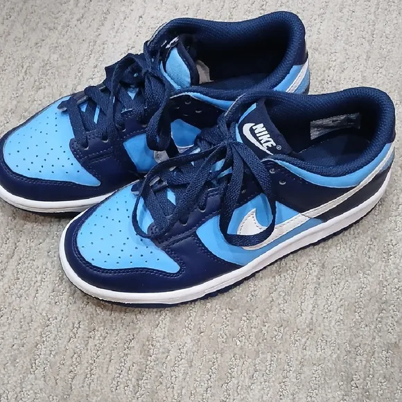 Nike Blue Dunks