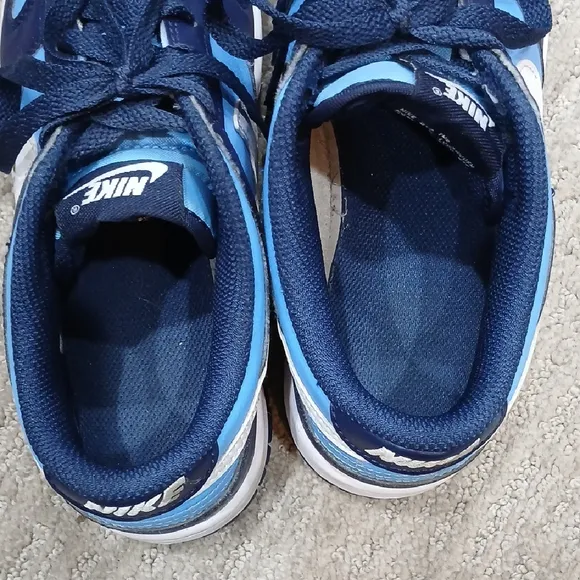 Nike Blue Dunks