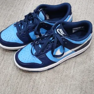 Nike Blue Dunks