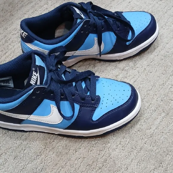Nike Blue Dunks