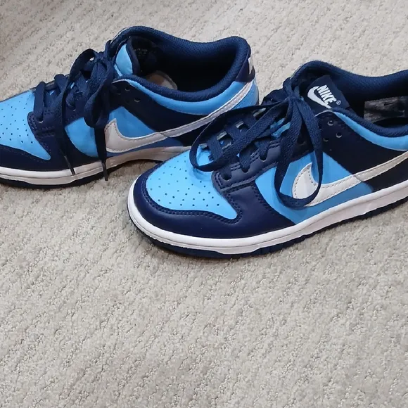 Nike Blue Dunks