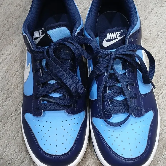 Nike Blue Dunks