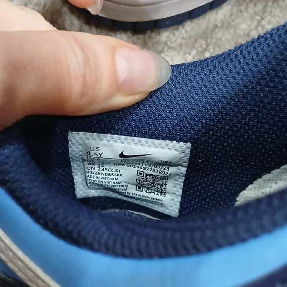 Nike Blue Dunks