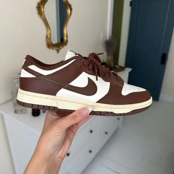 Nike Brown Dunk Lows