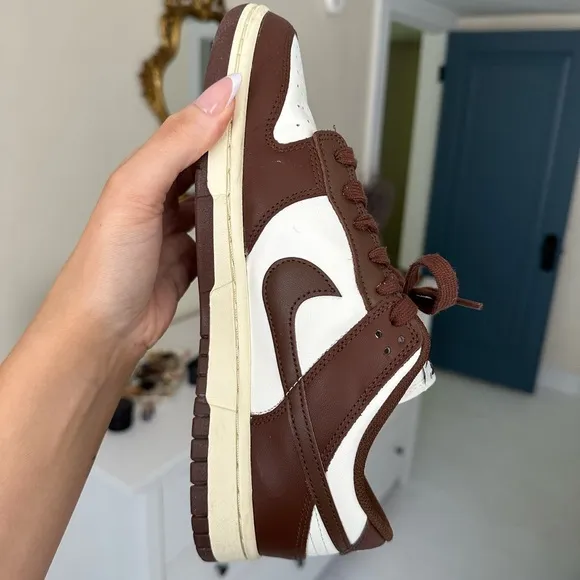 Nike Brown Dunk Lows