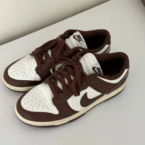 Nike Brown Dunk Lows