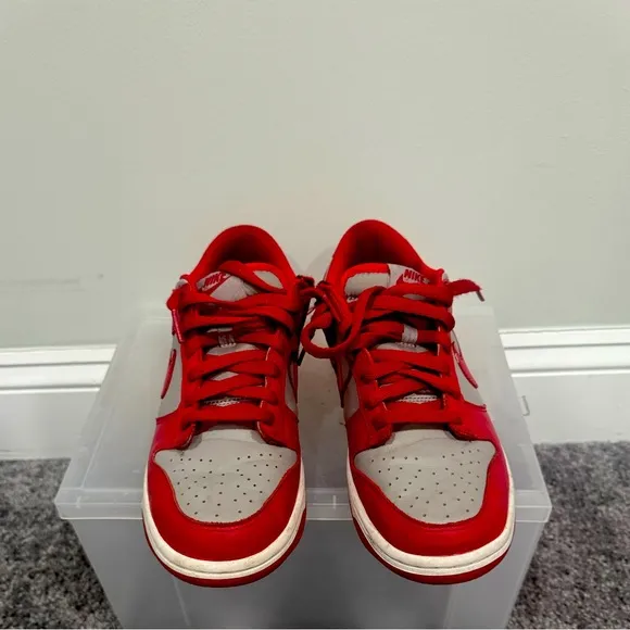 NIKE DUNK LOW (GS)