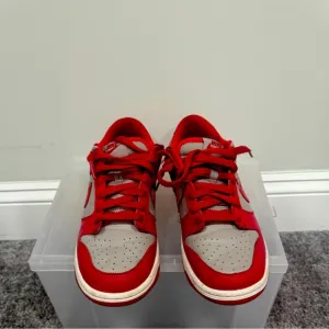 NIKE DUNK LOW (GS)