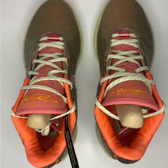 Nike LeBron XXI