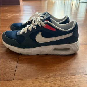 Nike Navy and White Sneakers