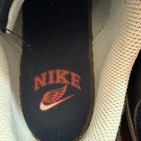 Nike Navy and White Sneakers