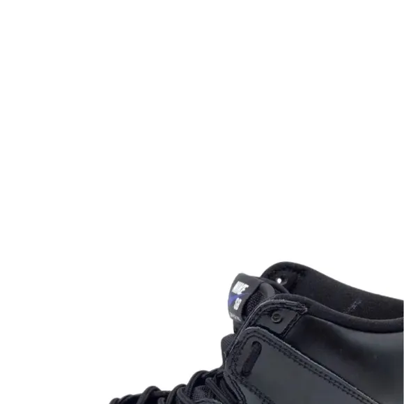 Nike SB Dunk High Pro Black Sneakers
