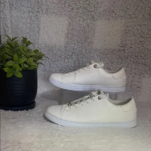 Ted Baker White Sneakers for Women