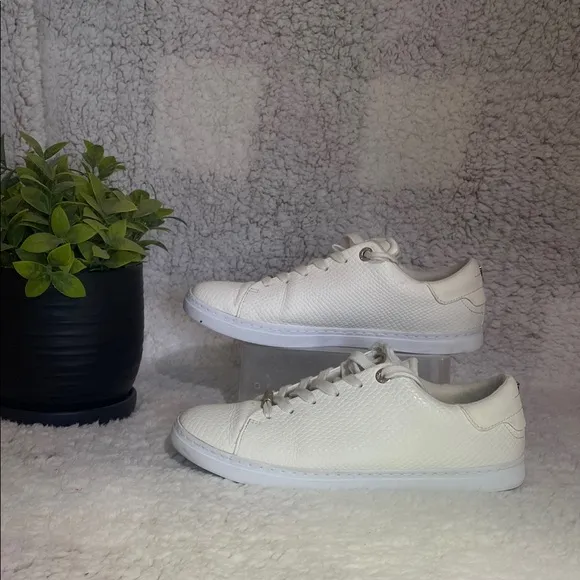 Ted Baker White Sneakers for Women
