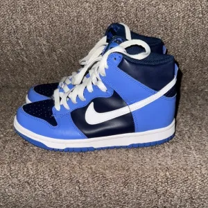 Unisex GS Nike Dunk High