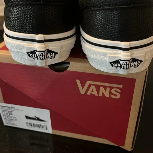 Vans Triceratops Slip On Sneakers