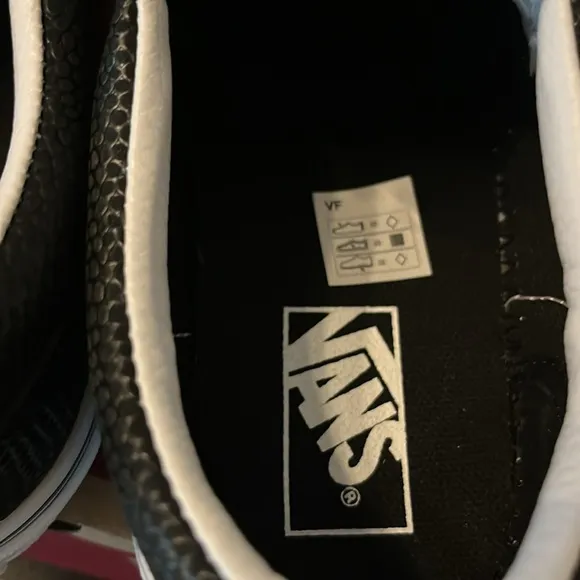 Vans Triceratops Slip On Sneakers